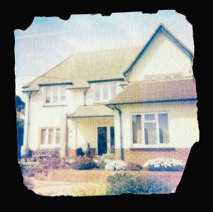 Example of Polaroid 600 colour film Emulsion Lift