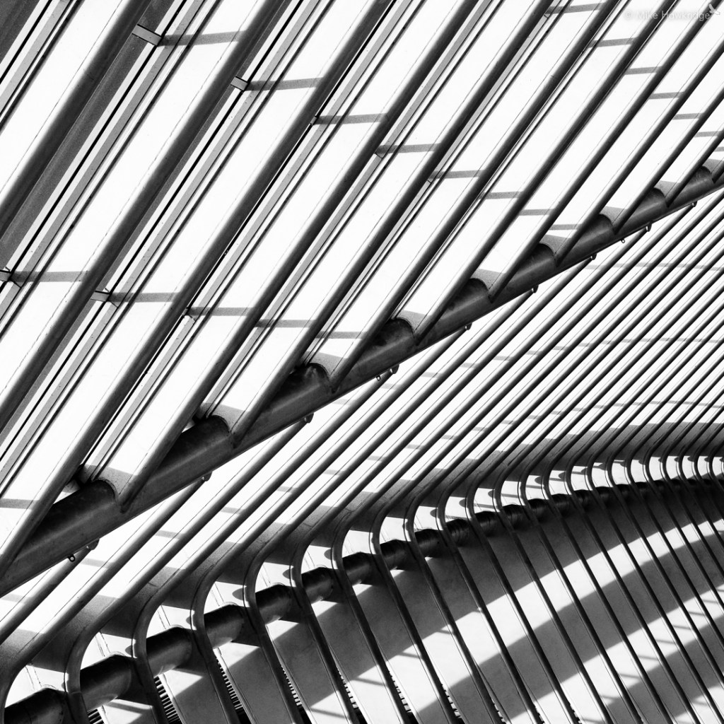 Why the Sony SEL70350G is My Top Lens&nbsp;Choice