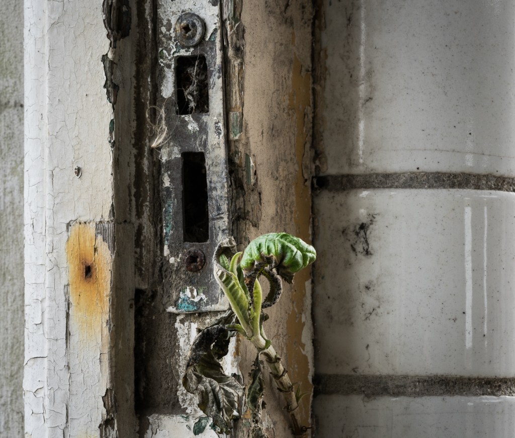 St Athan's Boys Village detail of old lock