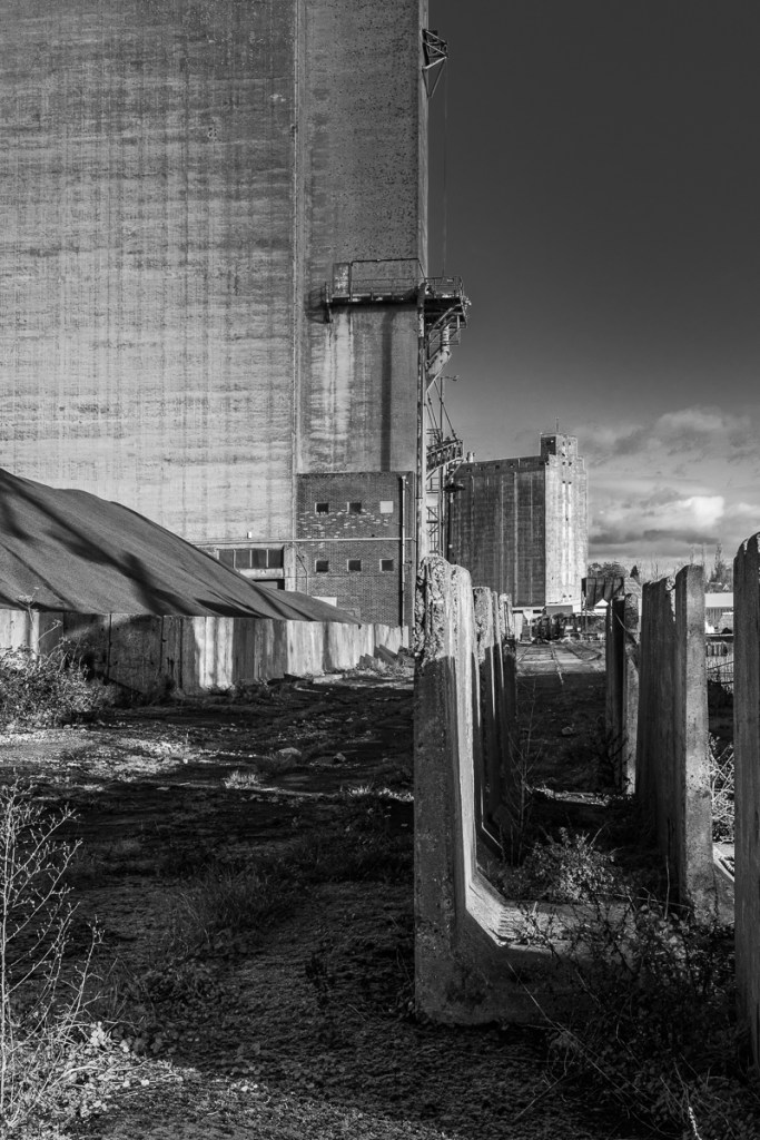 derelict dockside at Sharpness
