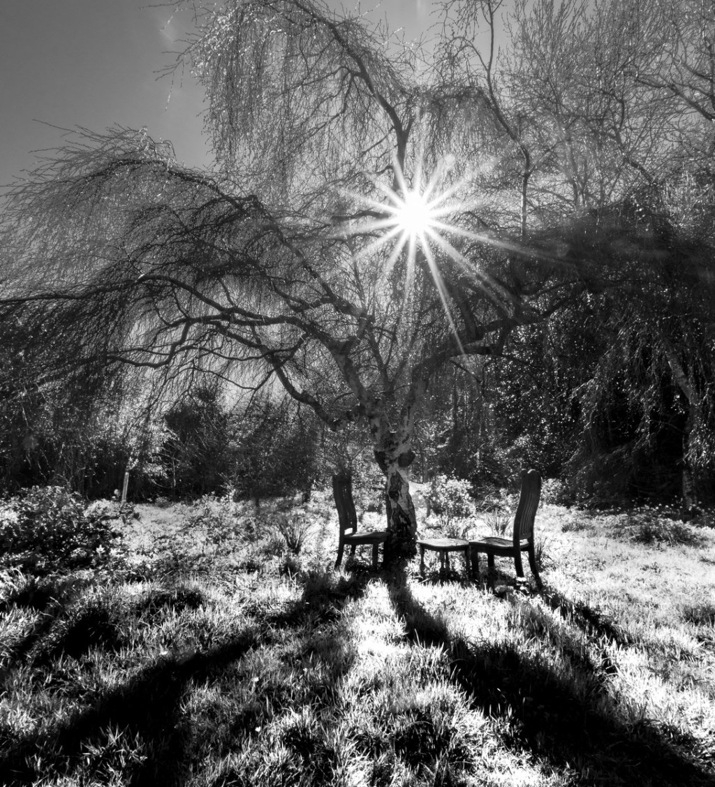 Seeing Sid – Photography Exhibition in&nbsp;Sidmouth